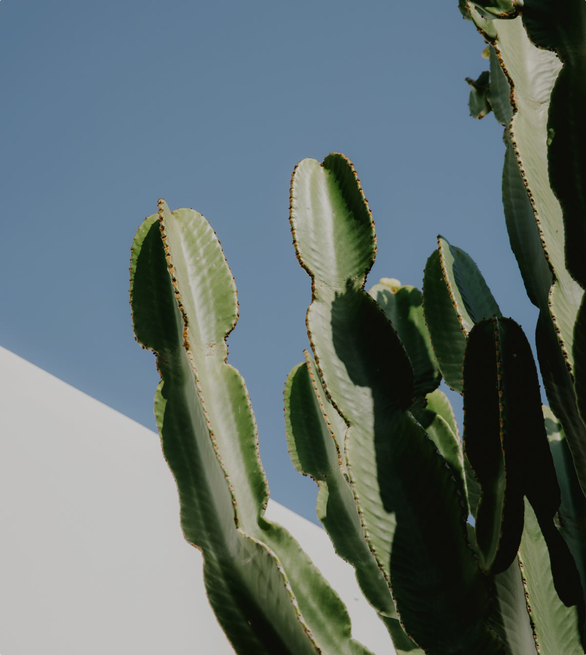 Noima, as in Living the Essence of Mykonos!